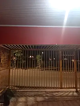 magrinh026 online show from March 8, 2026, 2:37 am