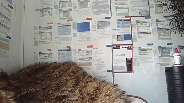 BunnyYT online show from March 8, 2026, 4:21 pm