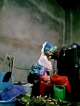 elen8800 online show from February 24, 2026, 11:22 am