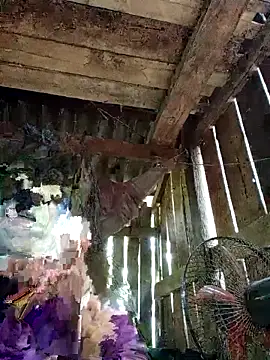 heesuu11 online show from April 22, 2026, 5:03 am