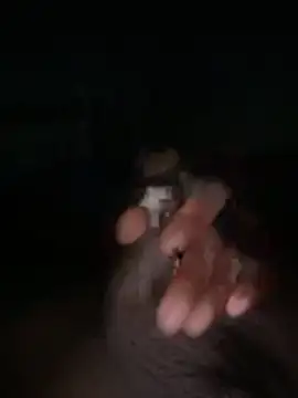 Snapshot of Leoshanxxas chatting on March 29, 2026, 8:43 pm Leoshanxxas online show from March 29, 2026, 8:43 pm