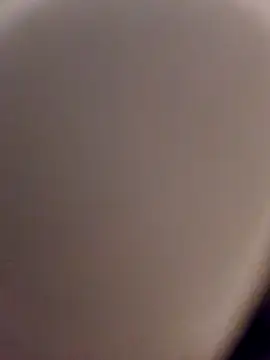 Snapshot of skynct2007 chatting on February 24, 2026, 5:41 am skynct2007 online show from February 24, 2026, 5:41 am