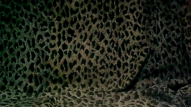 here51 online show from March 20, 2026, 6:09 pm