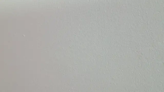 Snapshot of Mandy_boobs99 chatting on March 13, 2026, 8:03 pm Mandy boobs99 online show from March 13, 2026, 8:03 pm