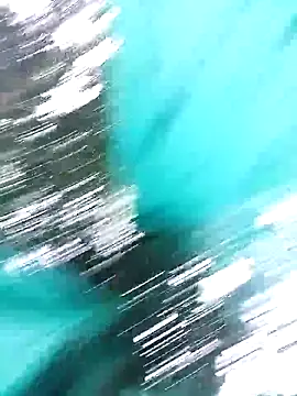 single kitten online show from April 2, 2026, 12:12 pm