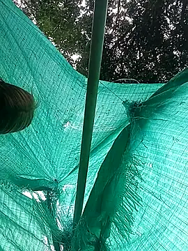 single kitten online show from March 23, 2026, 7:47 pm