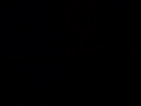 Nutty2in1 online show from February 28, 2026, 6:57 am