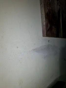 ssndratrans online show from April 2, 2026, 8:32 am