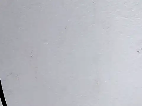 Cute Mango1 online show from February 28, 2026, 4:17 pm