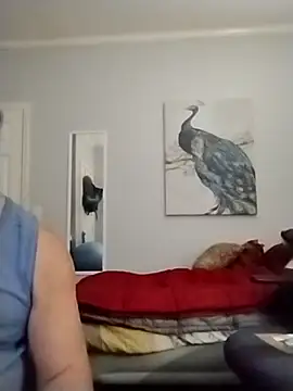 Snapshot of coestet chatting on May 22, 2026, 12:19 am coestet online show from May 22, 2026, 12:19 am