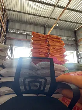 hoang15075 online show from March 29, 2026, 9:00 am