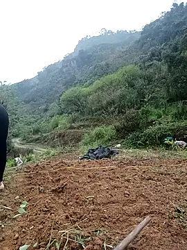 dualeo11 online show from March 12, 2026, 6:17 am