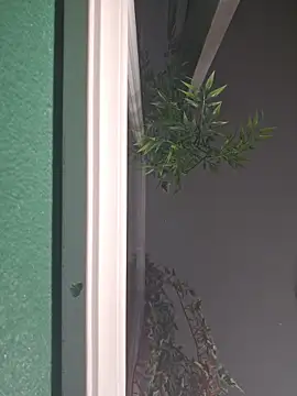 CarmenCapricorn online show from March 3, 2026, 7:48 am