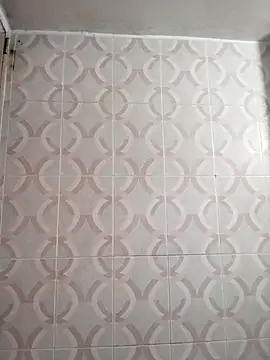 Star--Girl online show from March 7, 2026, 3:13 am