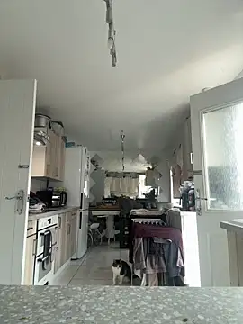 BunnyBallyX online show from March 10, 2026, 7:34 am