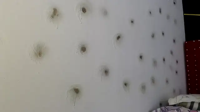 danielawidx online show from April 15, 2026, 1:48 pm