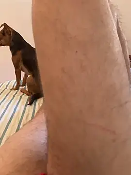 Snapshot of angeldeseo chatting on March 22, 2026, 11:56 am angeldeseo online show from March 22, 2026, 11:56 am