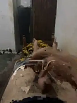 Polomoro23 online show from March 27, 2026, 7:37 pm