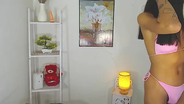 MaterialDuoTransxxx online show from March 10, 2026, 6:50 am