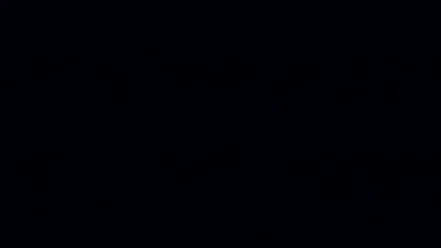 A model1 online show from May 29, 2026, 2:56 pm