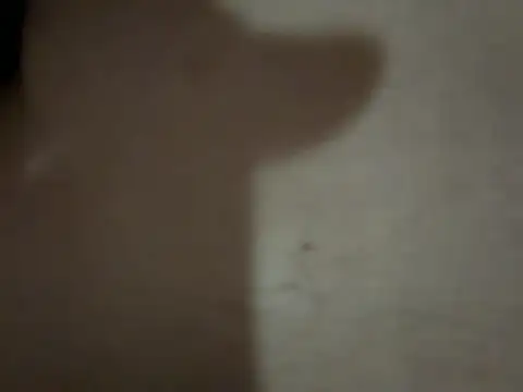 Snapshot of Kaan33_33 chatting on March 22, 2026, 8:32 pm Kaan33 33 online show from March 22, 2026, 8:32 pm