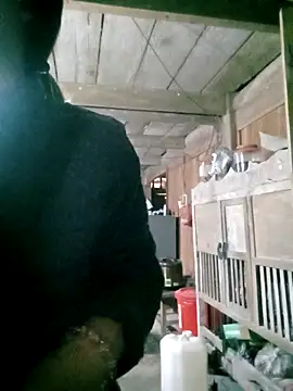 hasaki001 online show from March 16, 2026, 11:51 pm