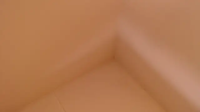 Mini Rouse online show from May 19, 2026, 2:02 pm