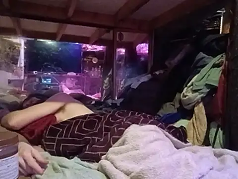nearby causual online show from July 8, 2026, 11:22 am