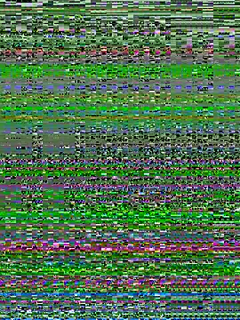 alextn22 online show from July 6, 2026, 2:46 pm