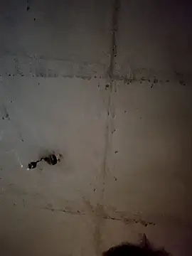 glugo33 online show from April 9, 2026, 11:11 pm