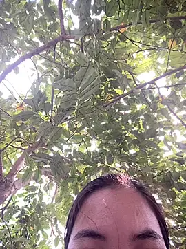 Snapshot of SeraCin chatting on March 20, 2026, 7:09 am SeraCin online show from March 20, 2026, 7:09 am