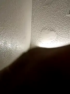 Snapshot of KingBlackStallion chatting on March 29, 2026, 4:41 pm KingBlackStallion online show from March 29, 2026, 4:41 pm