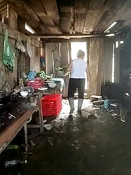 Lily Daisy online show from March 25, 2026, 4:01 am