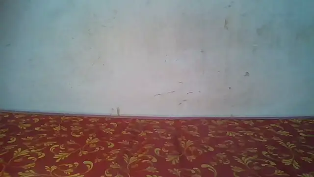 Rato250 online show from May 10, 2026, 3:58 pm