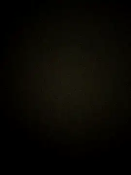 vishnu indian01 online show from March 29, 2026, 12:51 pm