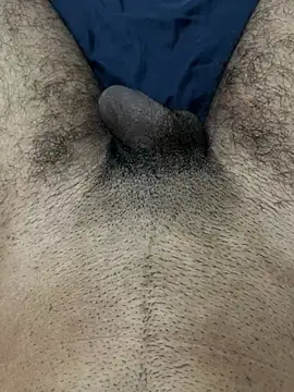 profetabr26 online show from August 5, 2026, 11:32 pm
