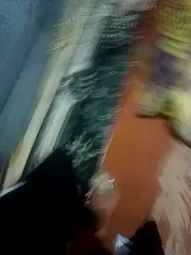 bobo76s online show from April 1, 2026, 5:53 am