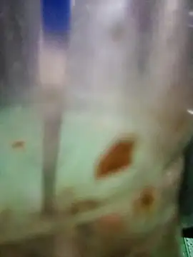 Snapshot of roc321 chatting on April 9, 2026, 11:38 am roc321 online show from April 9, 2026, 11:38 am