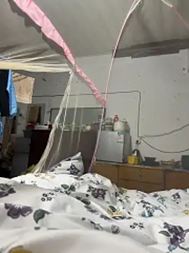 sakunx2028 online show from April 8, 2026, 12:06 pm