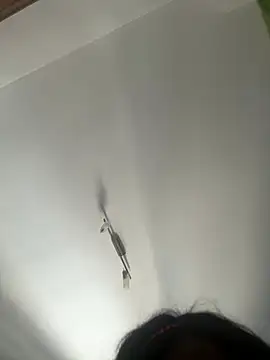 browniee777 online show from July 30, 2026, 12:26 pm