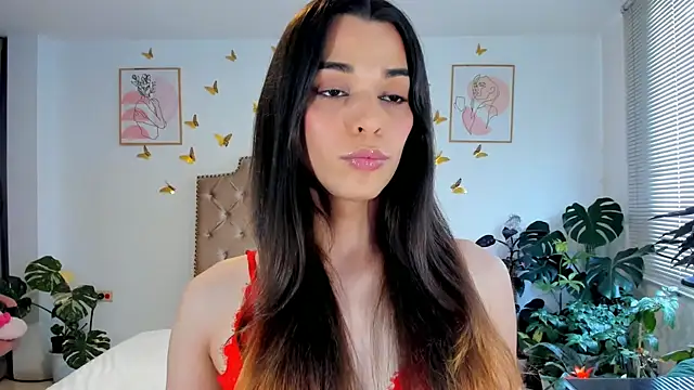 Snapshot of bella_grego chatting on June 21, 2026, 5:41 pm bella grego online show from June 21, 2026, 5:41 pm