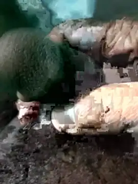 Peterhadly online show from April 28, 2026, 4:11 pm