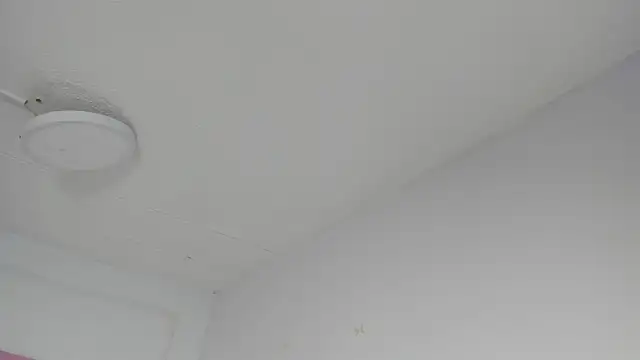 Snapshot of Sharon_Adamss chatting on July 9, 2026, 7:24 pm Sharon Adamss online show from July 9, 2026, 7:24 pm