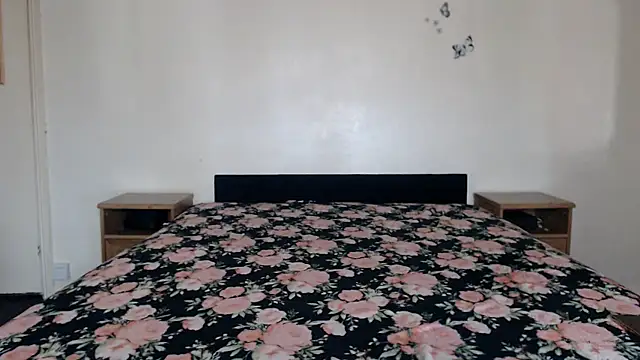 DirtyStella online show from June 4, 2026, 6:51 am
