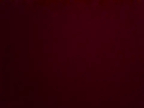 Snapshot of sexyterry1 chatting on May 17, 2026, 1:11 pm sexyterry1 online show from May 17, 2026, 1:11 pm