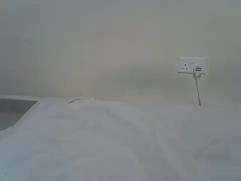 berrynova online show from May 29, 2026, 4:57 pm