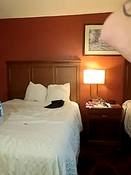 Snapshot of Wild_dude chatting on March 19, 2026, 3:06 am Wild dude online show from March 19, 2026, 3:06 am