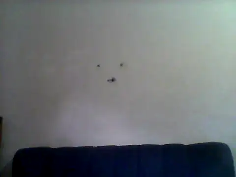 Snapshot of Angelbee_ chatting on July 27, 2026, 6:42 am Angelbee online show from July 27, 2026, 6:42 am