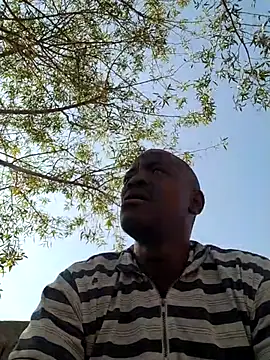 Rod Gorilla online show from July 6, 2026, 12:01 pm