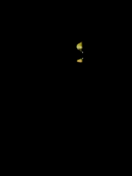 Snapshot of lambakooli chatting on June 13, 2026, 7:56 pm lambakooli online show from June 13, 2026, 7:56 pm